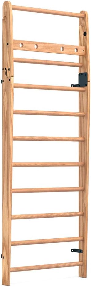 NOHrD by WaterRower Wall Bars (10)