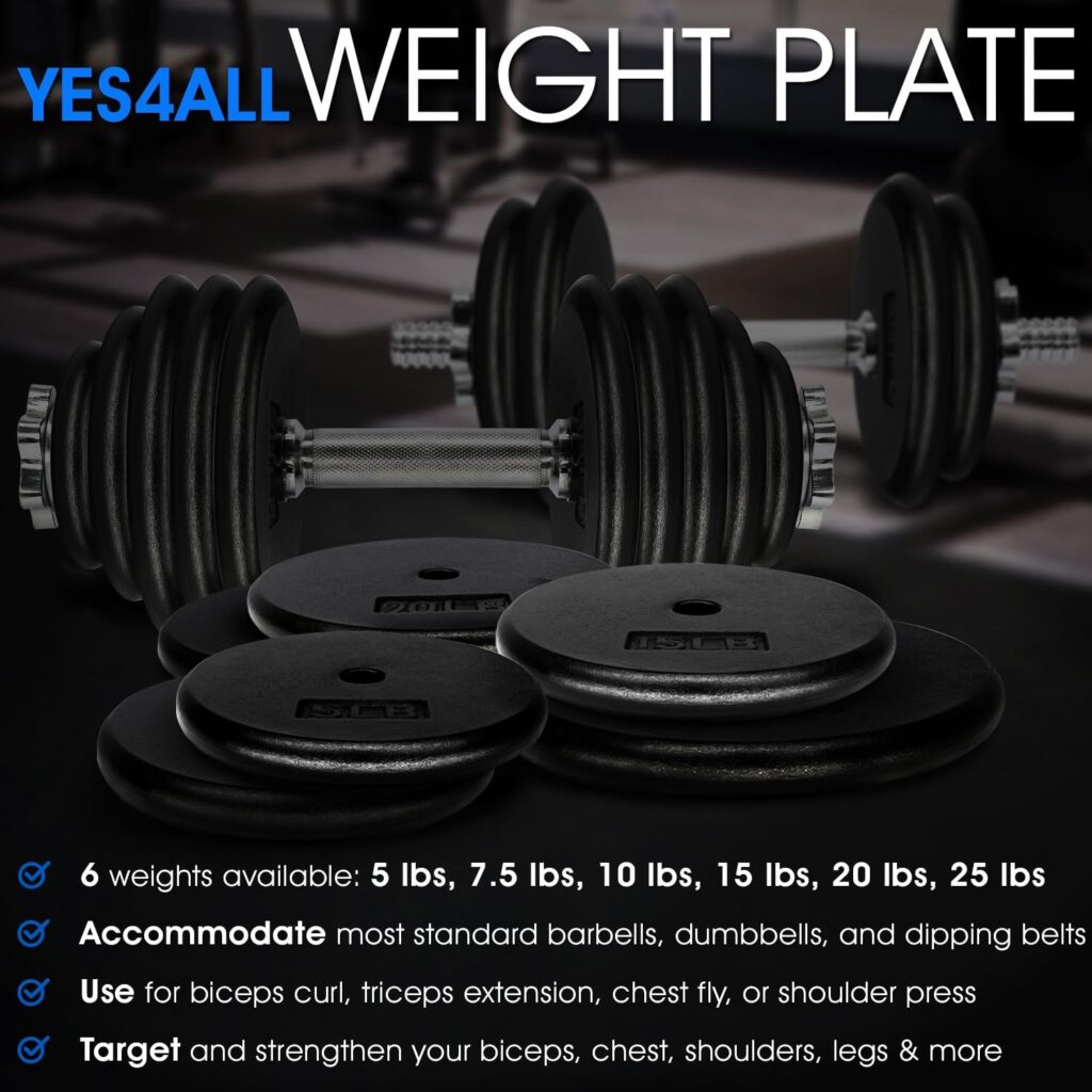 Yes4All Standard 1 Cast Iron Weight Plate - Ideal for Strength Training - Multiple Weight: 5LB to 25LB (Single  Set of 4)
